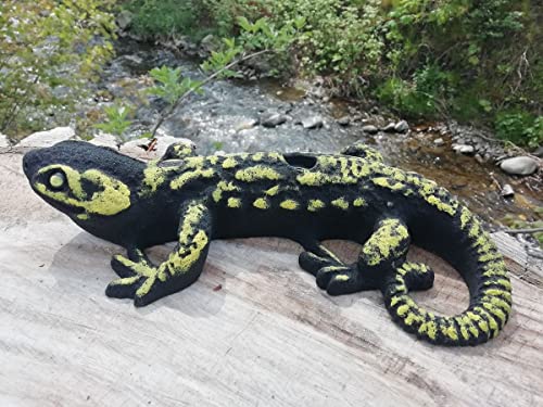 Klettergriff Salamander XXL, Tierklettergriff schwarz-gelb von KS Klettergriffe