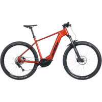 KTM Macina Team 793 29'' 750 Wh Herren orange 2024 von KTM