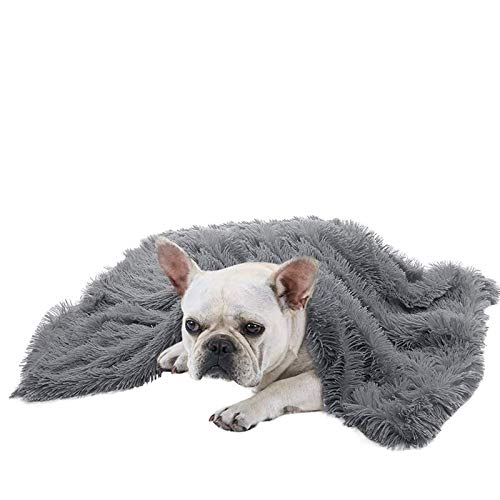 Haustierdecken Hundedecke Plüsch Flauschige Decken für Hunde Flauschige Dicke Haustier Teppiche Lange Plüschdecken für Katzen und Hunde für Herbst und Winter Warm und weich,Grau,78 * 54cm von Kabxhueo