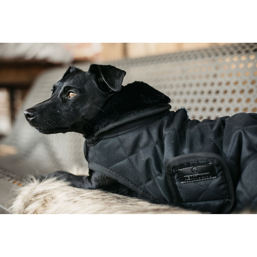 Kentucky Dogwear Hundemantel 160g von Kentucky Dogwear