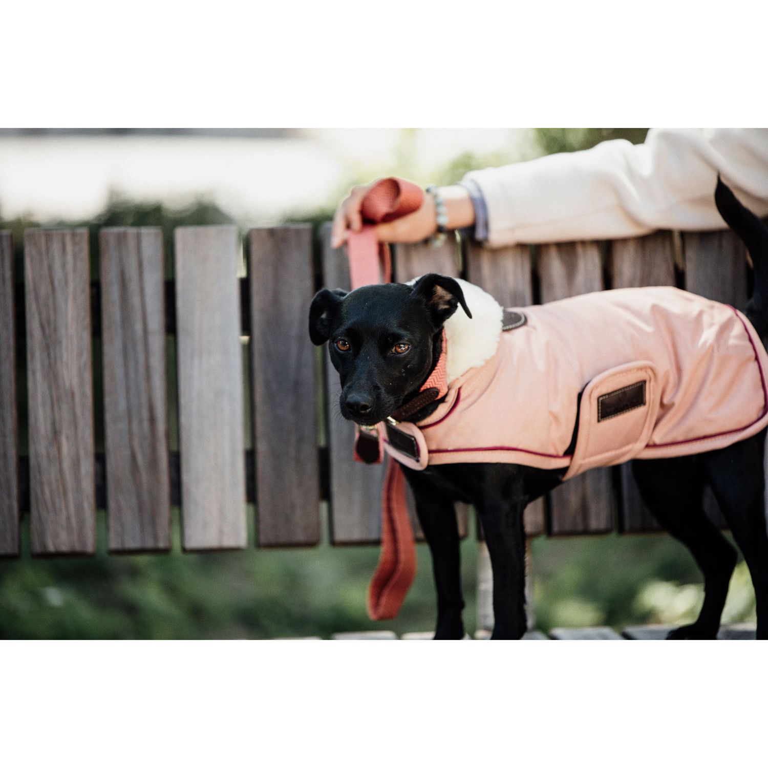 Kentucky Dogwear wasserfester Hundemantel von Kentucky Dogwear