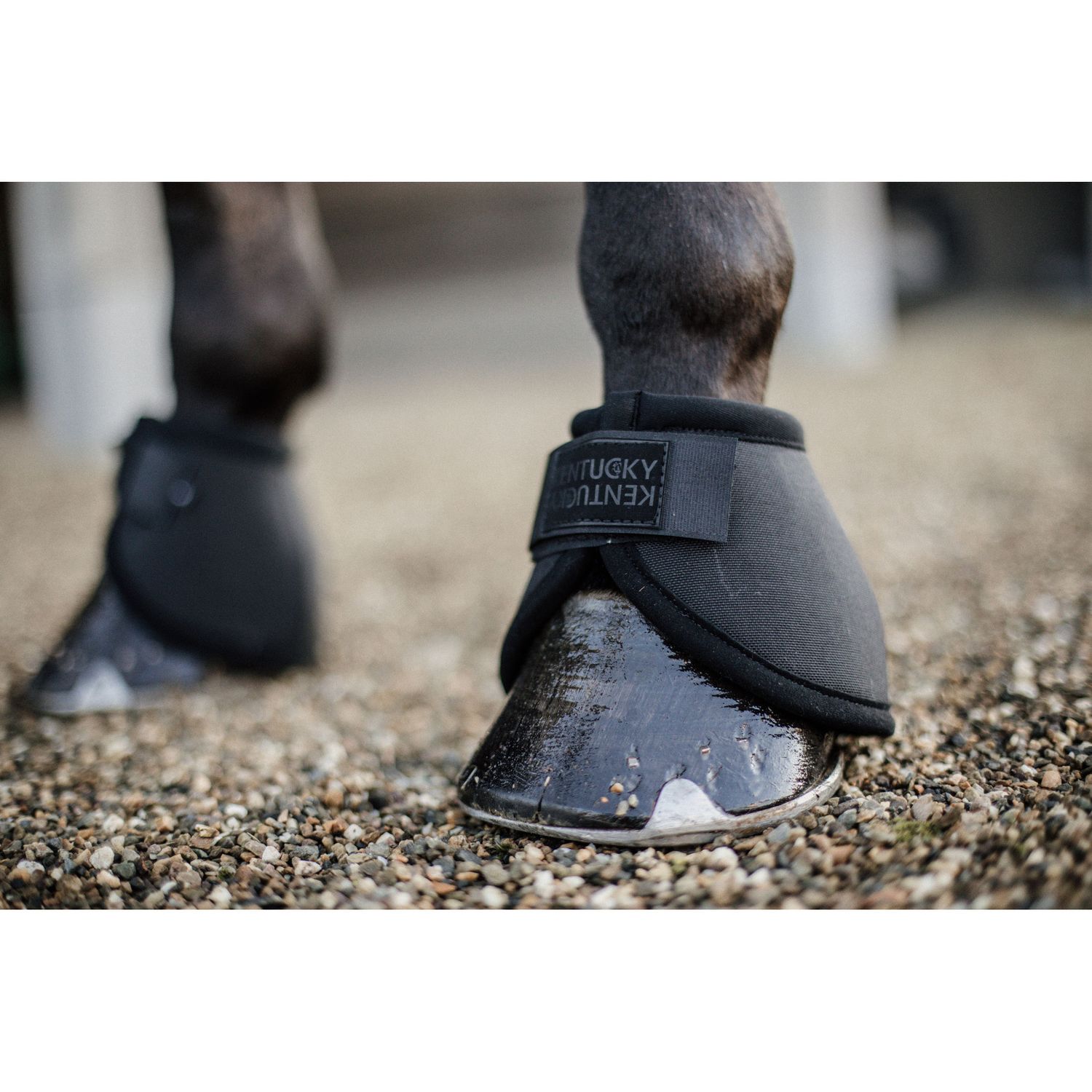 Kentucky Horsewear Hufglocke mit Ballenschutz von Kentucky Horsewear