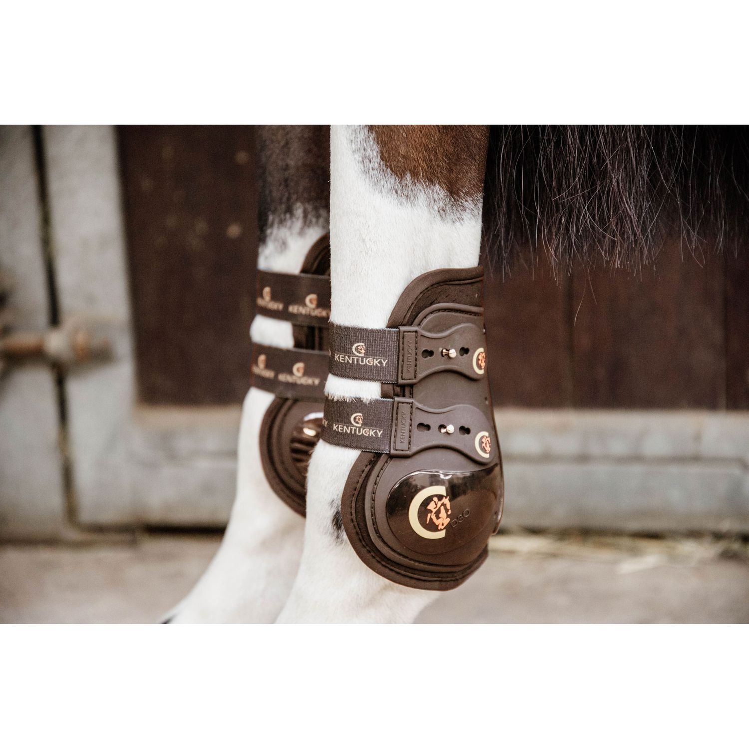 Kentucky Horsewear MOONBOOTS MAX ELASTIC Streichkappe von Kentucky Horsewear