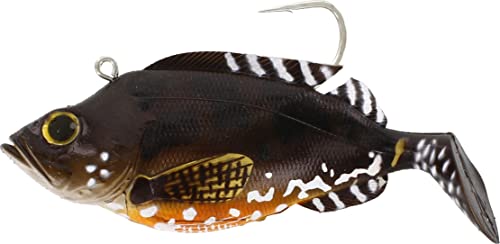 Westin Red Ed Meeres Shad 360g Livley Scorp von Kinetic