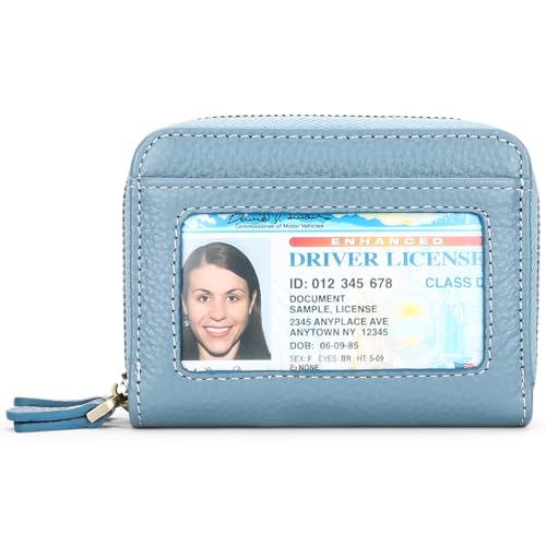 KituT Kreditkarteninhaber-Geldbörse, Doppelreißverschluss-Karten- und Münztasche for Damen, RFID-Anti-Diebstahl-Swipe-Karten-Geldbörse for Damen (Color : Light Blue) von KituT
