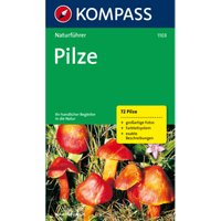 Kompass Verlag Pilze NF 1103 Naturführer von Kompass Verlag