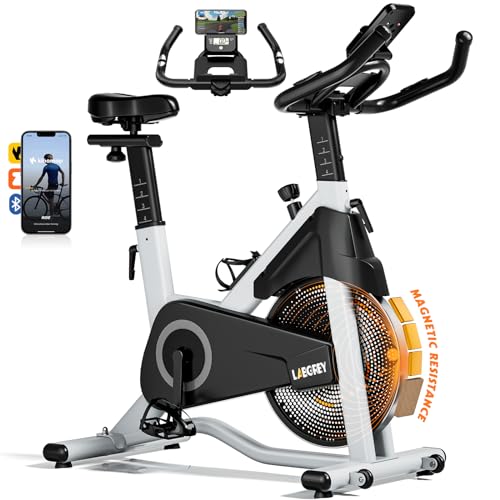 Labgrey Exercise Bike with Magnetic Resistance, Fitness Bike for Home, Indoor Cardio Training, Bike with Heart Rate Monitor, LCD Display, Seat & Resistance Adjustable, Up to 158 kg von LABGREY