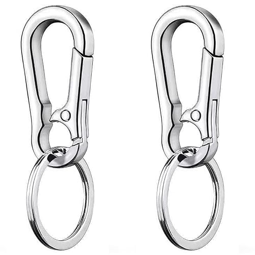 LABUYI 2 Stück Carabiner Schlüsselanhänger,Karabinerhaken Schlüsselanhänger,Schlüsselring mit Karabiner,Karabinerhaken Klein Schlüsselanhänger,Kleiner Karabiner,für Herren und Damen,Silber von LABUYI