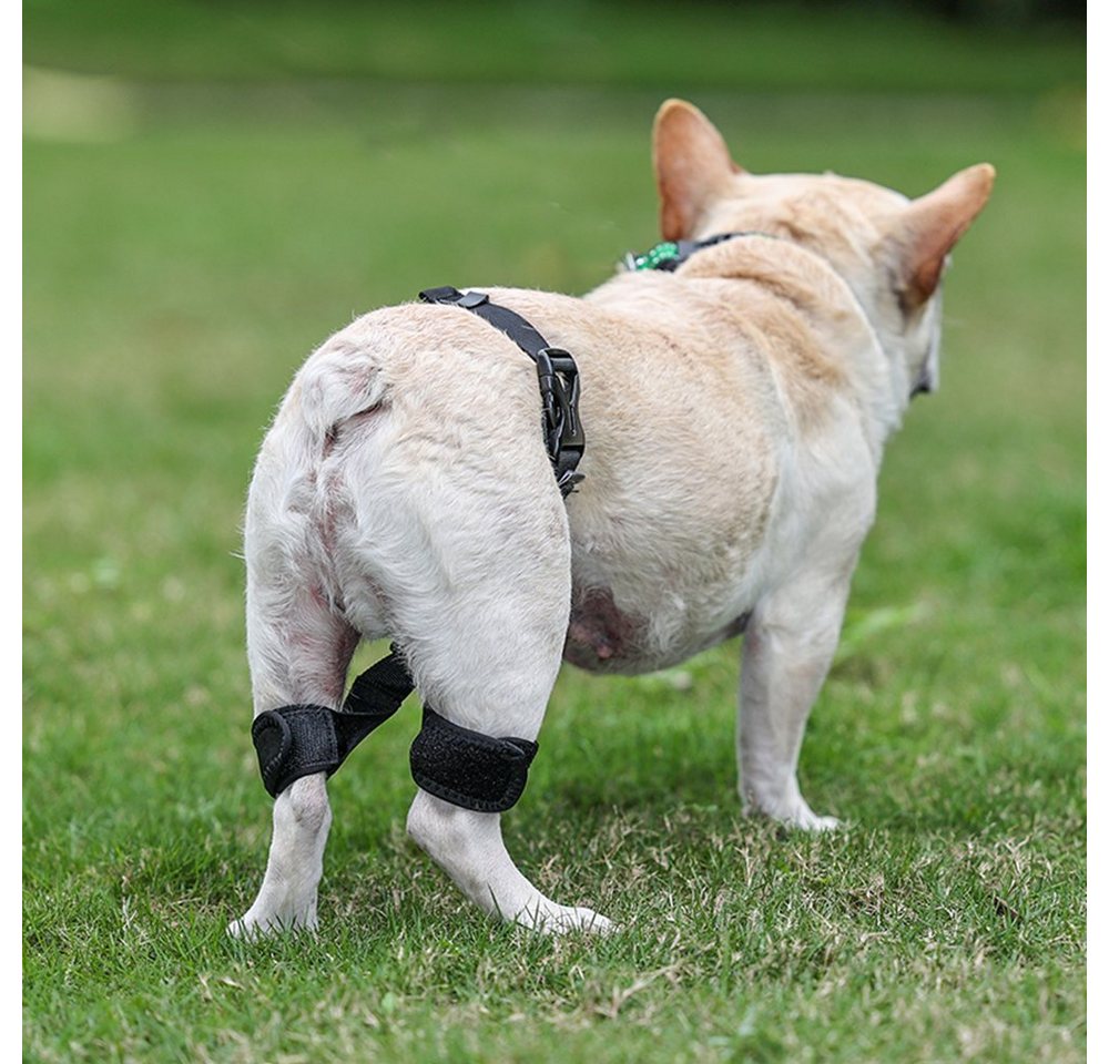 LAPA HOME Knieschutz Hunde-Hinterbeinstütze Hunde Beinschützer Knieschoner Erholungsgürtel (1-tlg), einstellbar Hinterbeinstütze Korrektur & Erholungsgürtel für Hunde von LAPA HOME