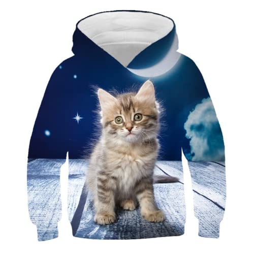 LIYIMING Katzen Pullover Weihnachten Kinder Hoodie 3D Druck Kapuzenpullover Sweatshirt Jungen Mädchen Langarm Pullover 3-14 Jahre (01,130) von LIYIMING