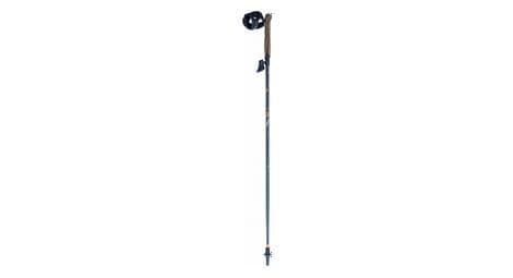 nordic walking stocke lacal stick carbon 100  blau von Lacal