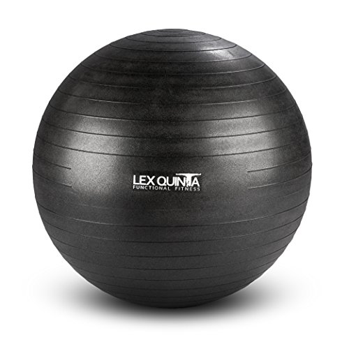 Lex Quinta Gym Ball 65cm von Lex Quinta