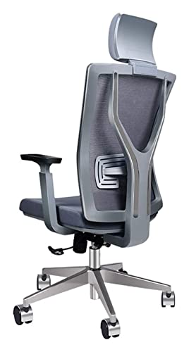 LiChA Bürostuhl, hohe Rückenlehne, E-Sport-Stuhl, drehbarer Büro-Schreibtischstuhl, Spielstuhl, geneigter Liegekissen-Sitz, Lendenwirbelstütze, Arbeitsstuhl, Stuhl (Farbe: Grau) von LiChA