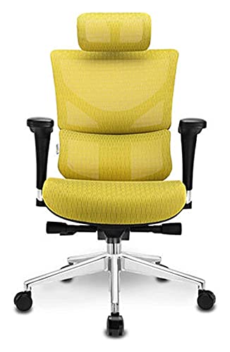 LiChA Bürostuhl Ergonomischer Gaming-Stuhl, Bürostuhl, Heimcomputerstuhl, Boss-Stuhl, Spielstuhl, Büro-Rückenlehne, Schreibtischstuhl, Stuhl (Farbe: Gelb, Größe: Einheitsgröße) von LiChA