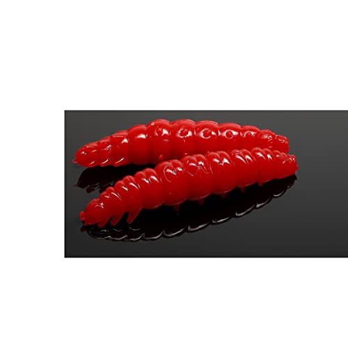 Libra Lures Larva 35 35mm 3,5cm Käse Rot 021 5908291083953 Bienenmade zum auftreibenden Angeln Forellenangeln von Libra Lures