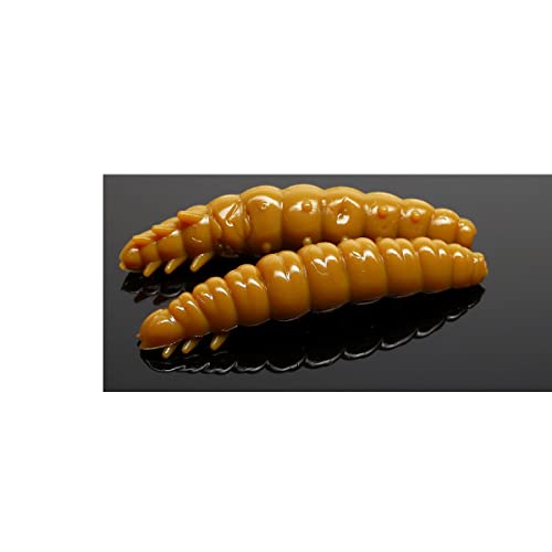 Libra Lures Larva 35 35mm 3,5cm Käse Coffee Milk 036 5908291084035 Bienenmade zum auftreibenden Angeln Forellenangeln von Libra Lures