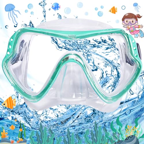 Taucherbrille Erwachsene Teenager, Unisex Tauchermaske für Herren Damen, Anti-Leck & Anti-Fog Panorama Tauchmaske aus Gehärtetem Glas mit Nasenabdeckung, 180°Panorama HD von Liekadijiae