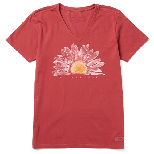 Life is Good Damen Crusher Graphic V-Ausschnitt T-Shirt Aquarell Daisy Birds T-Shirt, verblasstes Rot, Größe L von Life Is Good