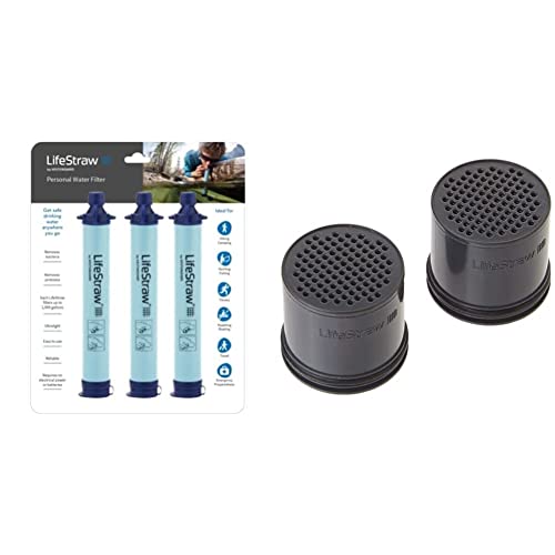 LifeStraw® Personal - Persönlicher Wasserfilter & Ersatz Aktivkohle-Kapseln Steel Filter, Silber, M von LifeStraw