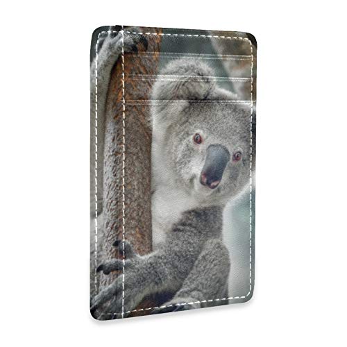 Linomo Kartenhüllen aus dünnem Leder Geldscheinklammer Süß Tier Koala Geldbörsen RFID-Blockierung für Männer und Frauen von Linomo