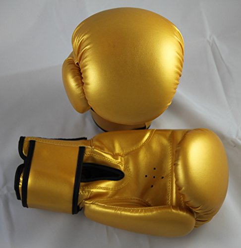 Lisaro Boxhandschuhe aus Kunstleder Farbe: Gold 10 oz (Gold) von lisaro