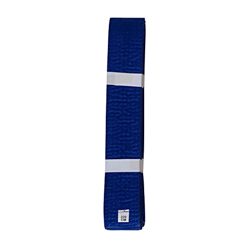 Lisaro kampfsportgürtel Karate Judo Taekwondo Ju Jutsu BJJ Gürtel Gr. 160-300 cm (blau, 220) von Lisaro