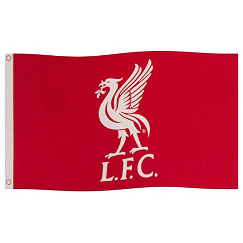 Liverpool FC Unisex – Erwachsene FC Liverpool YNWA Fahne 90 x 150 cm, Rot, M von Liverpool FC