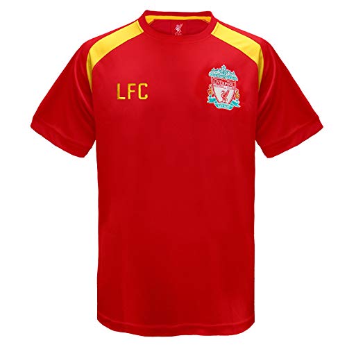 Liverpool FC - Herren Trainingstrikot aus Polyester - Offizielles Merchandise - Geschenk für Fußballfans - Rot - L von Liverpool FC