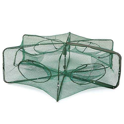 Lixada Faltbare Automatisch Köderfischreuse Fischernetz Aalreuse, 6-eckig mit 6 Öffnungen, zum Fangen von Köderfischen, Krebsen, Garnelen von Lixada