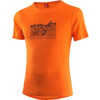 LÖFFLER Herren Shirt M PRINTSHIRT ALL MOUNTAIN TRAN von Löffler