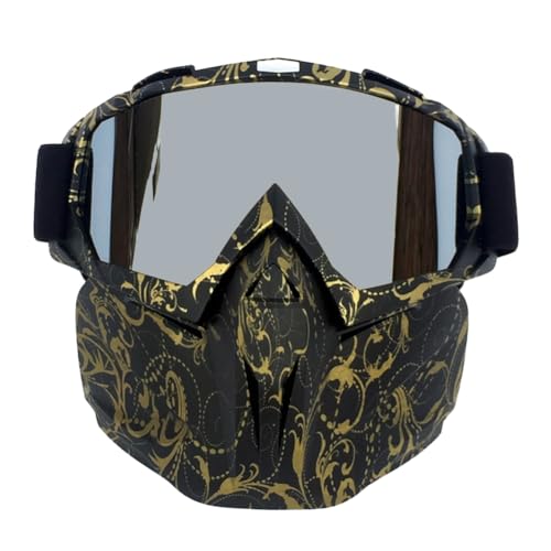 Lovehomily Antibeschlag-Schneesportbrille, schützende Fahrrad-Sicherheitsbrille, verstellbare Skibrille mit abnehmbarer Gesichtsmaske zum Skifahren, Wandern, Radfahren (A) von Lovehomily