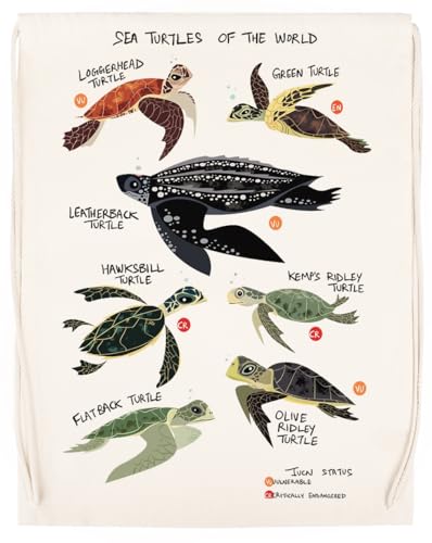 Sea Turtles of The World Unisex Sporttasche Beige Turnbeutel von MAGITONE