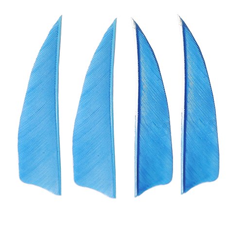 MILAEM 50 Stück 3 Zoll Pfeilfedern Pfeil Fletches Bogenschießen Befiederung natürliche Feder Federn für Jagd Pfeile rechten Flügel (hellblau) von AMEYXGS