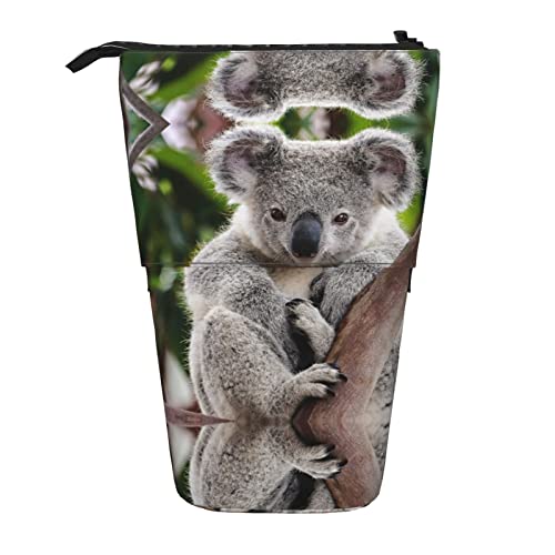 MOLIAE Federmäppchen mit niedlichem Koala-Aufdruck, Stiftehalter, Teleskop-Federmäppchen, Schreibwaren, für Schule, Büro, Süßer Koala, Einheitsgröße von MOLIAE