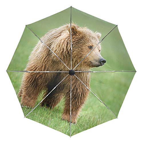 MONTOJ Fantasio Reise-Regenschirm, leicht, Bär, Braun von MONTOJ