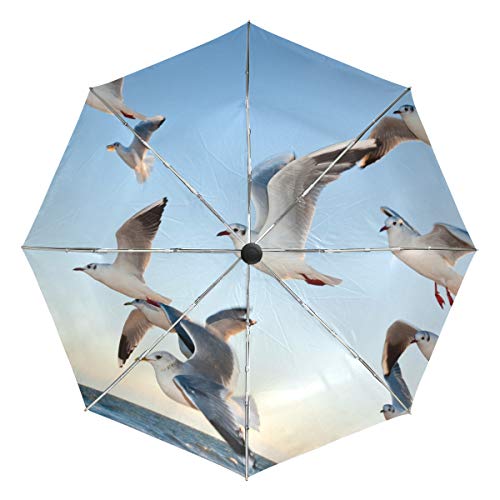 MONTOJ Fliegende Möwen Bild Sonne & Regen Reise Regenschirm UV-Schutz mit automatischer Öffnungs-Taste von MONTOJ