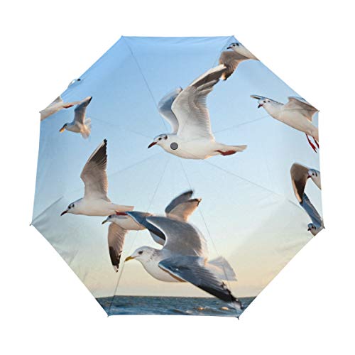 MONTOJ Fliegende Möwen Bild dreifach gefalteter Reise-Regenschirm UV-Schutz mit automatischem Öffnen-Knopf von MONTOJ