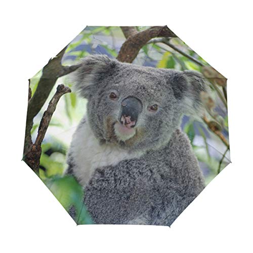 MONTOJ Niedlicher Koala-Regenschirm, dreifach gefaltet, UV-Schutz, mit automatischem Öffnen-Knopf von MONTOJ
