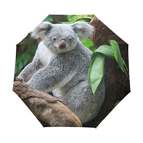 MONTOJ Niedliches Koala-Muster, dreifach gefalteter Regenschirm für Sonne und Regen, UV-Schutz, mit automatischer Öffnungs-Taste von MONTOJ