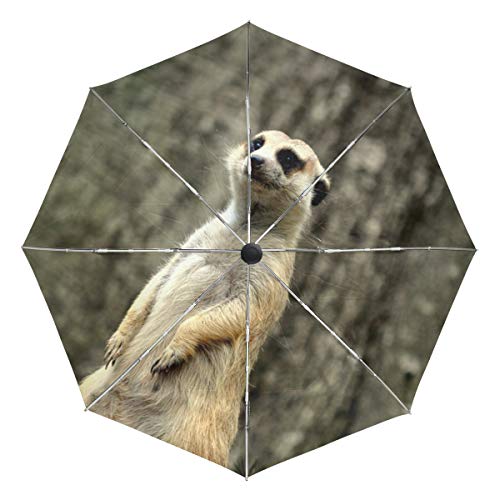 MONTOJ Regenschirm mit Erdmännchen-Motiv, für Reisen und Sonne und Regen, UV-Schutz, mit automatischer Öffnungs-Taste von MONTOJ