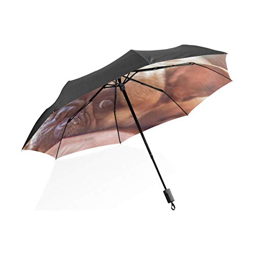 MONTOJ Regenschirm mit französischer Bulldogge, Sonnen- und Regenschirm, UV-Schutz. von MONTOJ