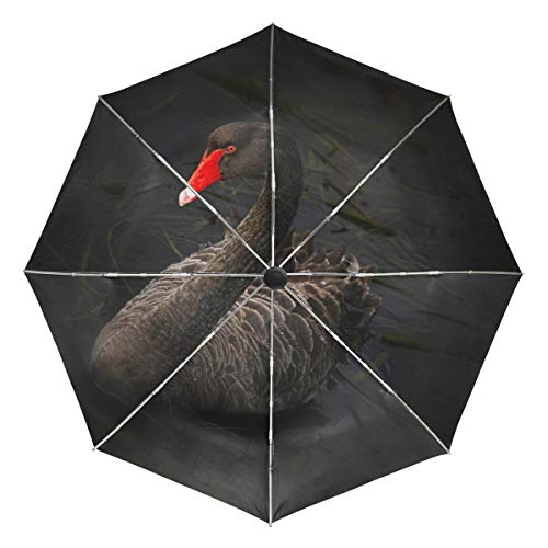 MONTOJ Regenschirm mit schwarzem Schwan auf See und Sonne und Regen, für Reisen, UV-Schutz mit automatischer Öffnung von MONTOJ