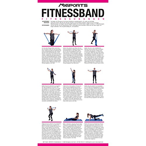 MSPORTS Übungsposter für das Fitnessband | ca. 44 x 21 cm | 9 Übungen von MSPORTS