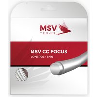 MSV Co.-Focus Saitenset 12m von MSV