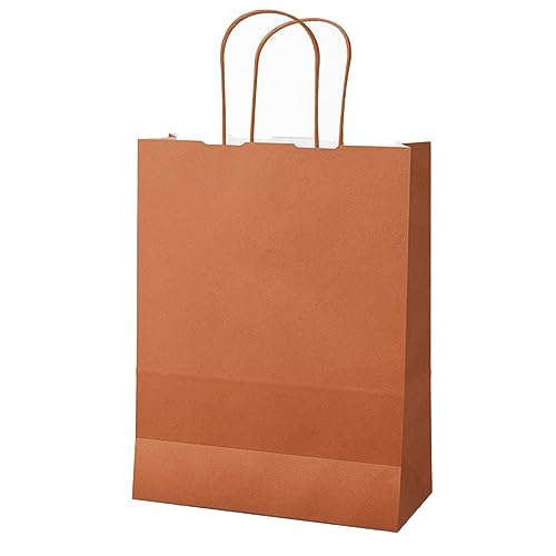 Mainetti Bags 25 Shoppers Twisted Kraftpapier 18x8x24cm Terracotta, terrakotta, Standard, Klassisch von Mainetti Bags