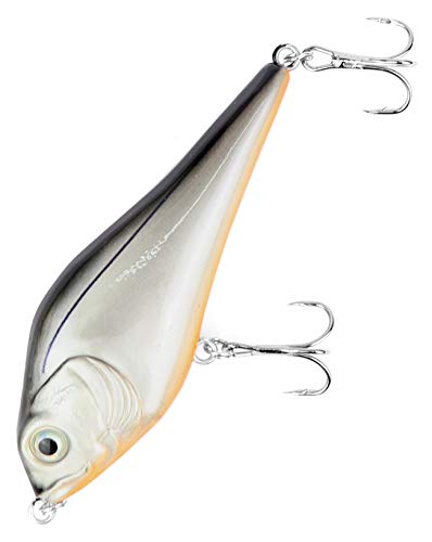 Major Fish Medium Jerk Jerkbait 10 cm Hecht Wobbler Kunstköder zum Hecht Angeln Carbon Orange von Major Fish