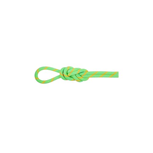 Mammut 8.0 Alpine Eco Dry Rope 30m von Mammut