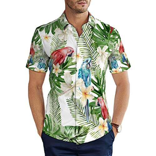 Herren Männer Hemd Tropische grüne Monstera Bunte Papagei Vögel Hawaii Hemd Slim Fit Kurzarm Freizeithemden für Strand Kreuzfahrten Grillen Multicolor XL von Man29goA