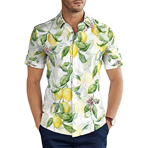 Man29goA Herren Hemd Blumen Pflanzen Blätter Sommerfrucht Zitrone Hawaii Hemd Lässig Kurzarm Sommerhemd für Strand Party Urlaub Multicolor M von Man29goA