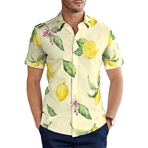 Man29goA Herren Hemd Sommerfrucht Gelbe Zitronen Hawaiihemd Gedruckt Kurzarm Sommer Hemd für Strand Kreuzfahrten Grillen Multicolor M von Man29goA